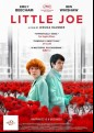 Little Joe